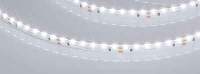 ce5992596c72078009f631b232021425